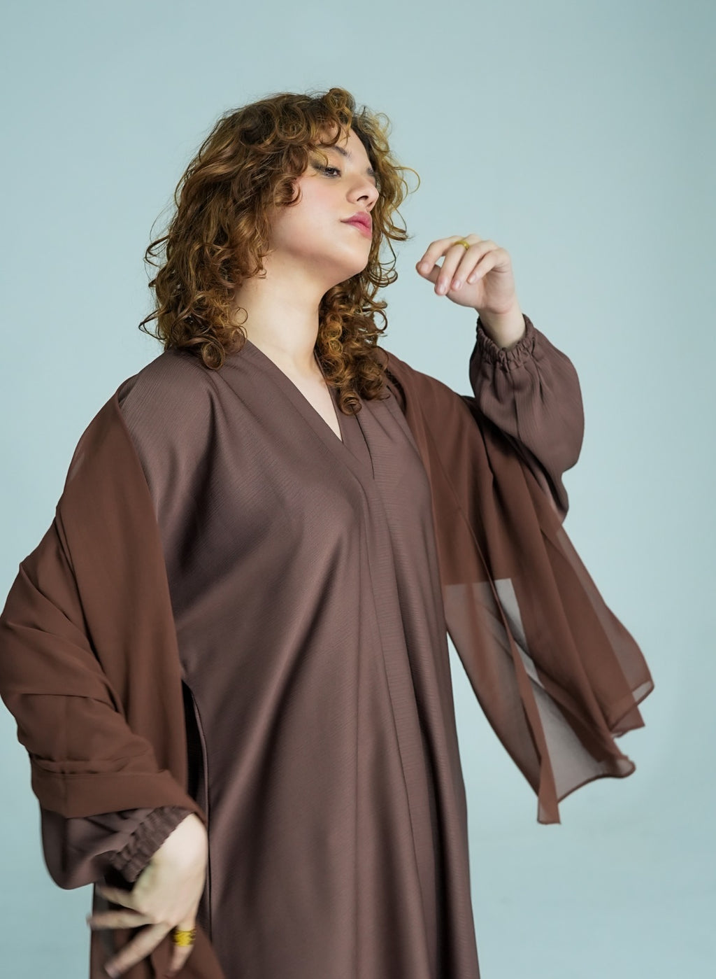 Brown Floral Embroidered Abaya